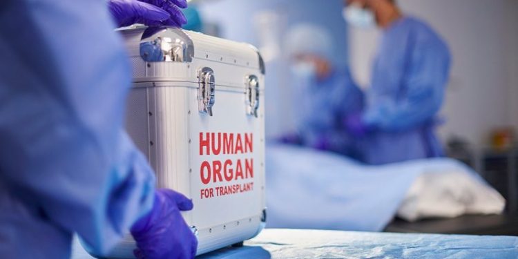 Biden-era regulation on the chopping block as Trump-aligned legal group warns of ‘DEI lens’