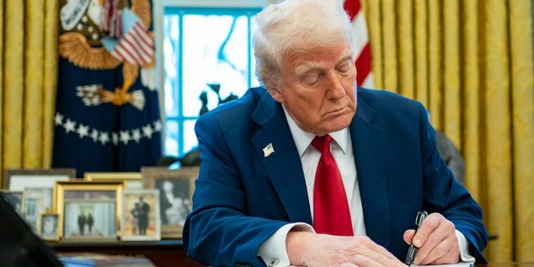 Trump signals plan to designate Muslim Brotherhood a terrorist organization