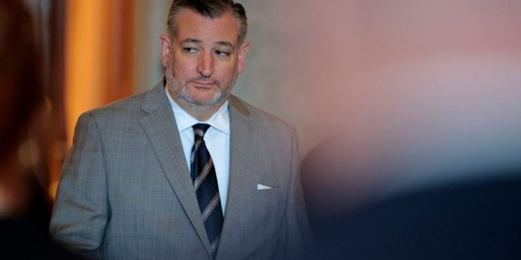 Ted Cruz urges US to arm Iranian protesters as militias threaten ‘total war’ against America